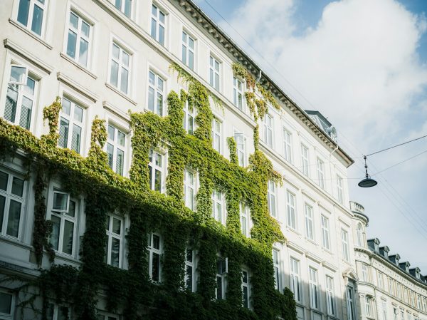 yohan-marion-YBB08YQjxJM-unsplash